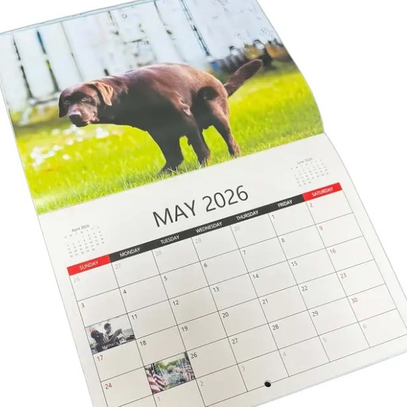**Buy Now Ready** 2026 Humorous Dogs Pooping in Beautiful Places Wall Calendar - Picture 3 of 5